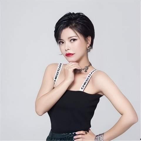 谁是明星网红歌手有哪些,揭秘当红明星网红歌手阵容