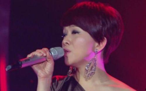 谁是明星网红歌手有哪些,揭秘当红明星网红歌手阵容