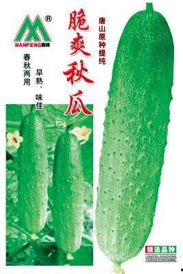 秋瓜今日市价,今日行情一览