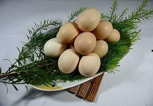 今日鸡瓜价格,市场行情一览”