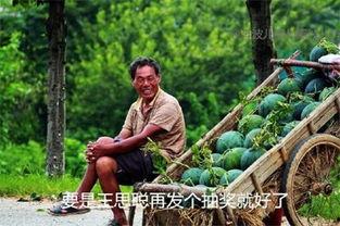 51吃瓜今日吃瓜必吃莫里秀,莫里秀今日必吃瓜，揭秘娱乐圈最新热点