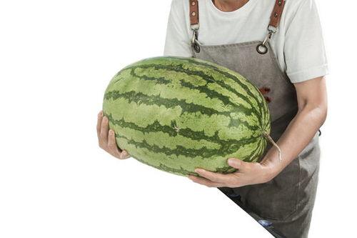 石头瓜今日行情,涨跌波动，市场动态一览