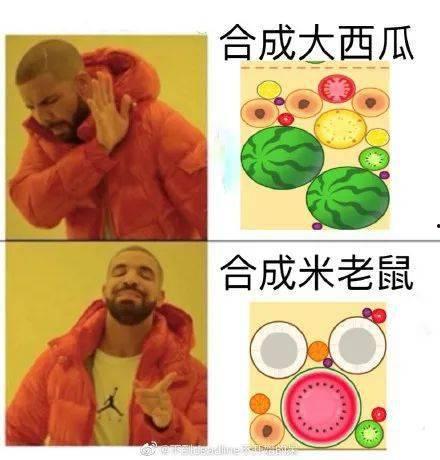 今日呆瓜,揭秘网络迷因的趣味与魅力