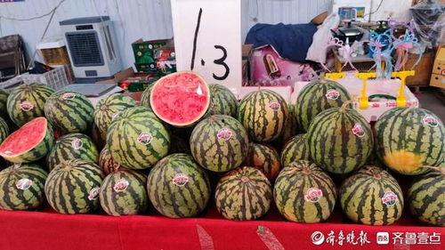 玉溪今日小瓜价格多少钱,行情动态一览