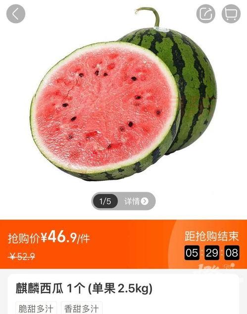 玉溪今日小瓜价格多少钱,行情动态一览