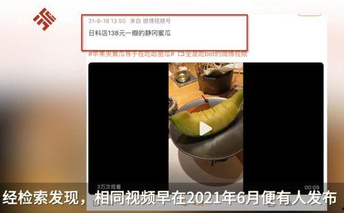 今日瓜料视频网站,热门视频网站背后的精彩故事