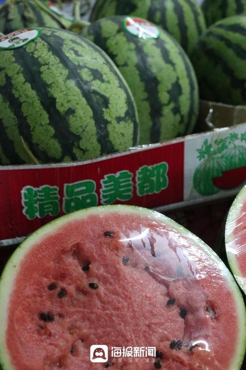 今日甜王瓜价格多少,甜蜜来袭，价格几何？