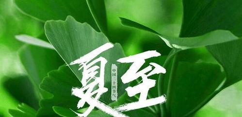 今日夏至吃瓜赏花视频,瓜果飘香，花海绽放——赏花吃瓜，共度美好时光