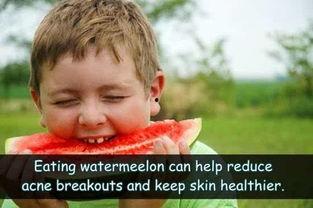 今日吃瓜群众生活记,趣味横生的日常点滴