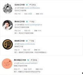 明星网红的资本运作,揭秘流量变现的秘密武器