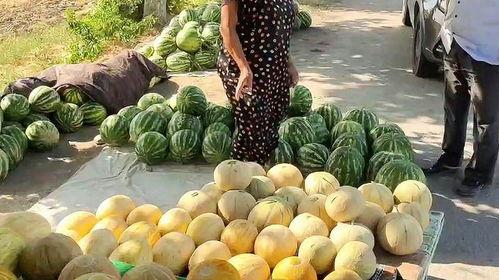 今日热门吃瓜网,揭秘娱乐圈最新热点事件