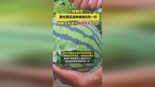 麒麟瓜价格今日行情,涨跌波动，市场动态一览