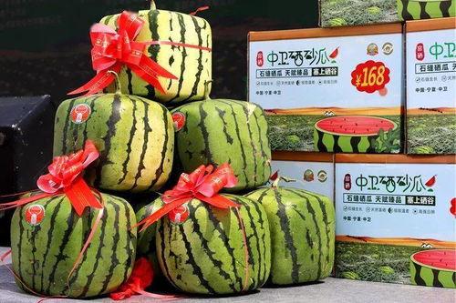 今日中卫硒砂瓜价格,品质瓜果，价格几何？