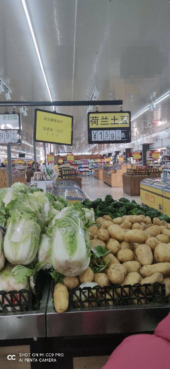 今日菜价白瓜,白瓜走俏，价格亲民，成为餐桌新宠