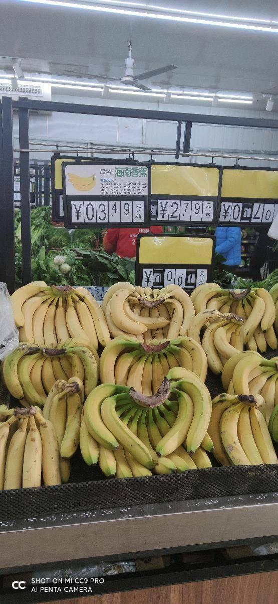 今日菜价白瓜,白瓜走俏，价格亲民，成为餐桌新宠