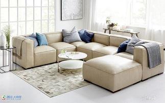 明星网红款沙发叫什么