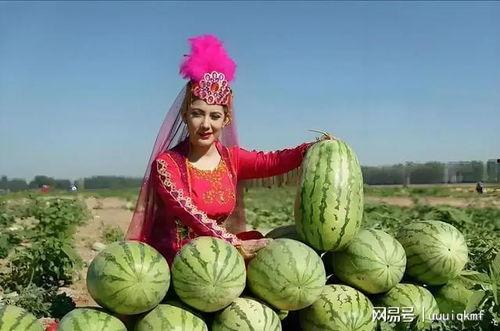 新疆今日瓜价行情,今日瓜价行情一览