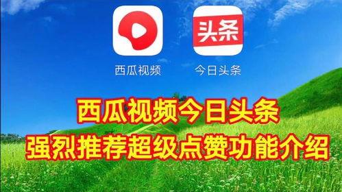 今日头条的瓜有什么用,揭秘幕后真相，带你领略网络舆论的力量