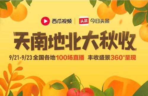 今日头条的瓜有什么用,揭秘幕后真相，带你领略网络舆论的力量