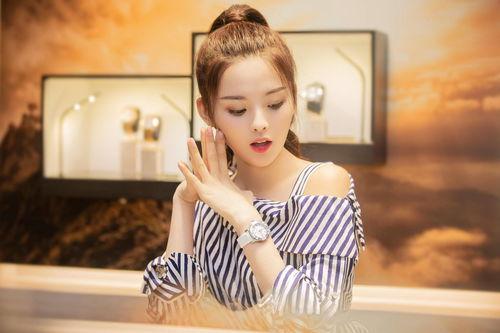 最近哪个明星网红在沈阳