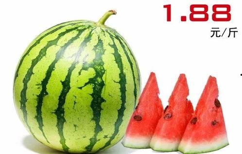 湛江市今日水果吊瓜价格表,湛江市今日水果吊瓜价格行情一览