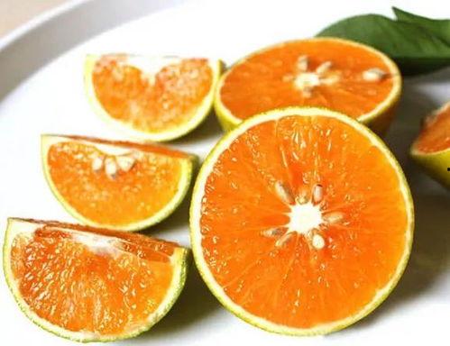 湛江市今日水果吊瓜价格表,湛江市今日水果吊瓜价格行情一览