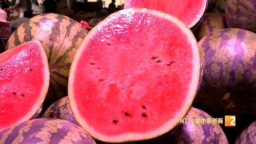 北京麒麟瓜今日行情,品质优良，价格稳定，备受消费者青睐”