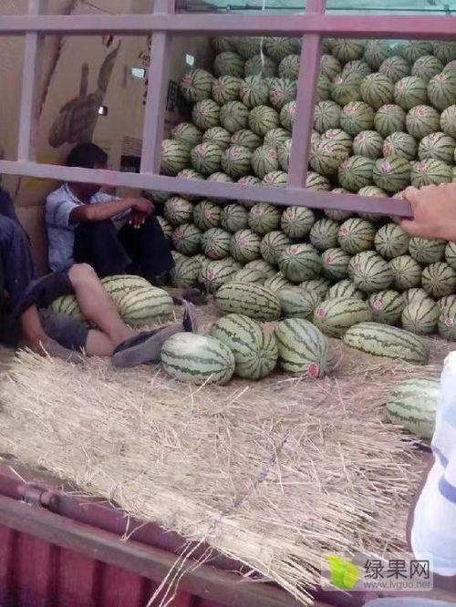 北京麒麟瓜今日行情,品质优良，价格稳定，备受消费者青睐”