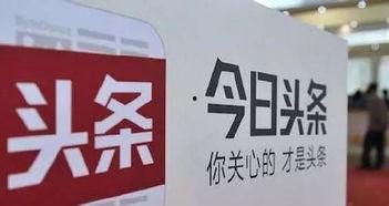 田瓜养猪场今日头条,揭秘绿色养殖新篇章