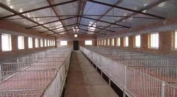 田瓜养猪场今日头条,揭秘绿色养殖新篇章