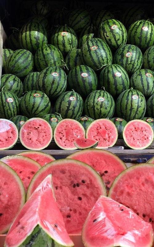 今日葫芦瓜收购价,市场行情一览”