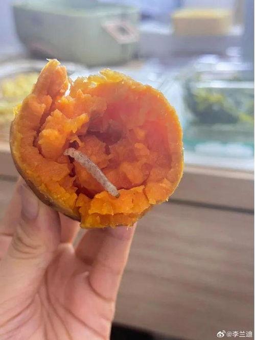 今日份的瓜是什么意思,“瓜”的真相与背后故事