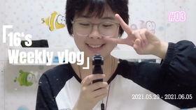 不心动挑战明星网红版,明星网红们的情感坚守与自我成长之旅