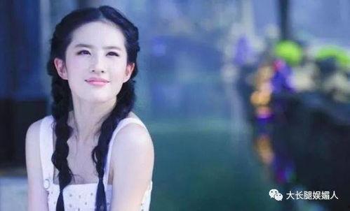 中国有多少明星网红数量,数字背后的现象与影响