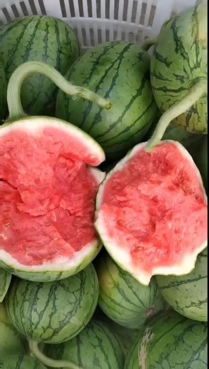 今日西沙瓜价格,市场行情一览