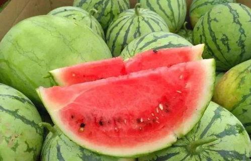 今日西沙瓜价格,市场行情一览