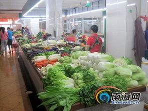 今日蒲瓜菜价格行情最新