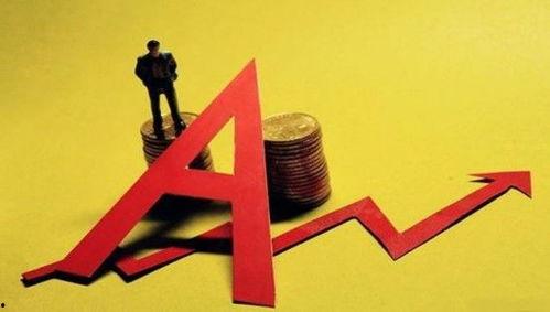 怀远市场最大的明星网红,引领潮流的带货女王