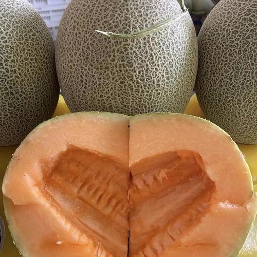 今日哈密瓜行情,今日市场动态一览