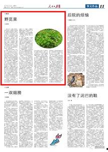 人民日报今日吃瓜,今日吃瓜，揭秘娱乐圈热点事件