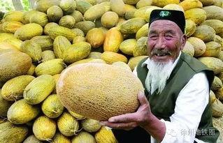 郑州万邦哈密瓜今日价格,价格行情一览