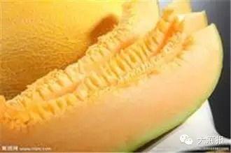 郑州万邦哈密瓜今日价格,价格行情一览