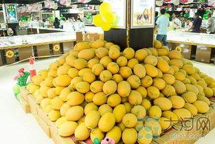 郑州万邦哈密瓜今日价格,价格行情一览