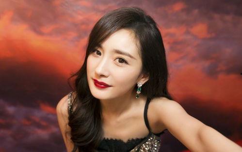 最喜欢的明星网红是,网红界的闪耀之星