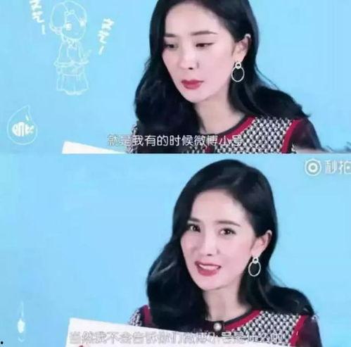 明星网红大号小号区别图片,大号小号背后的差异与策略