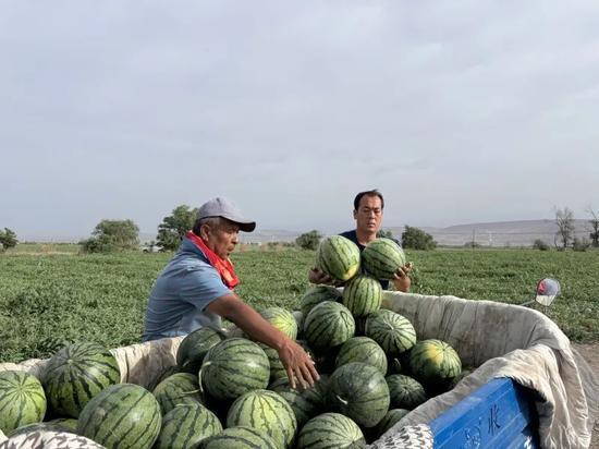 今日吃瓜收获的一张图,一张图带你领略明星幕后故事