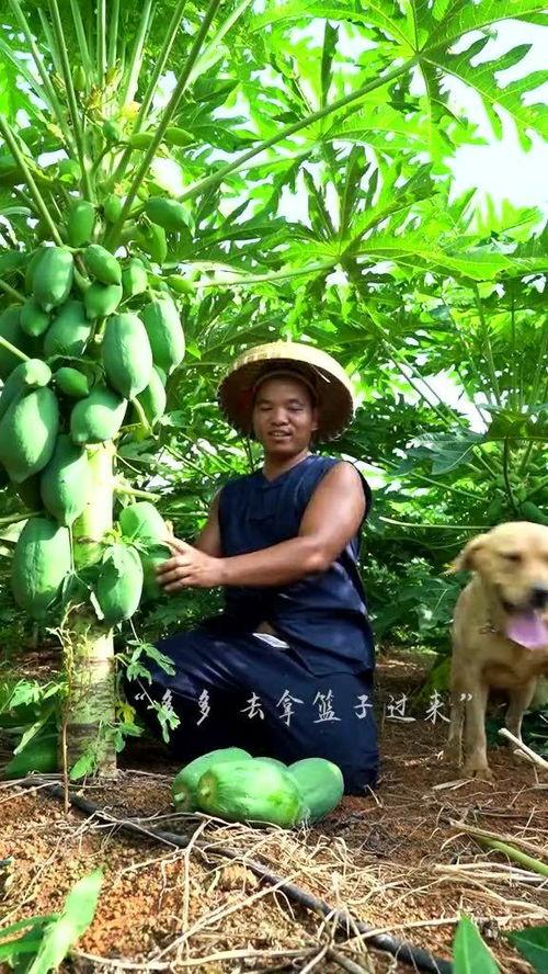 今日吃瓜收获的一张图,一张图带你领略明星幕后故事