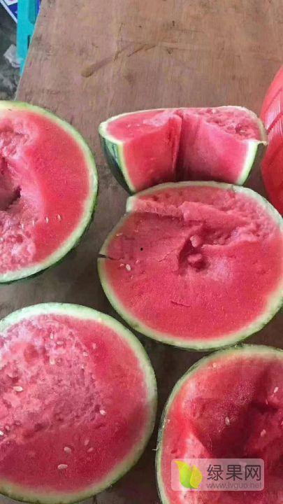 云南扁瓜今日价格行情最新,今日市场动态一览