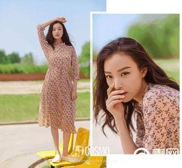 国内多明星网红去缅北,揭秘神秘之地背后的故事”