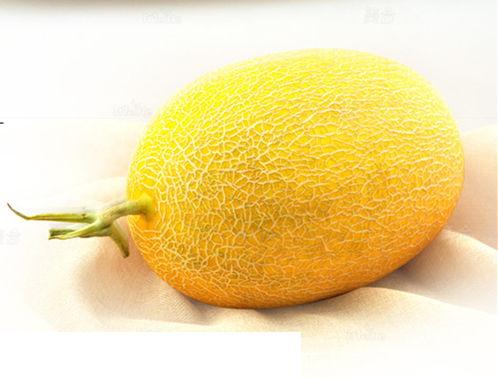 黄皮哈密瓜行情今日,价格波动与市场动态一览